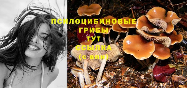 mix Сафоново