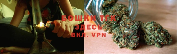 прущие крисы Абаза