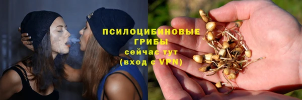 ГАЛЛЮЦИНОГЕННЫЕ ГРИБЫ Алексин