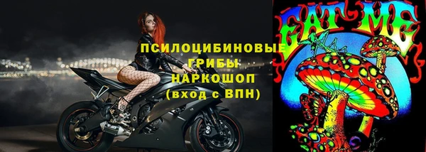прущие крисы Абаза
