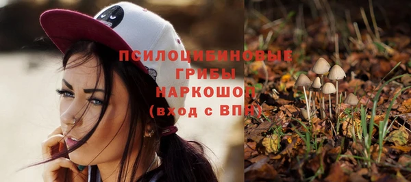 ГАЛЛЮЦИНОГЕННЫЕ ГРИБЫ Алексин