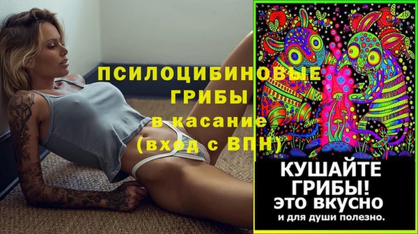 прущие крисы Абаза